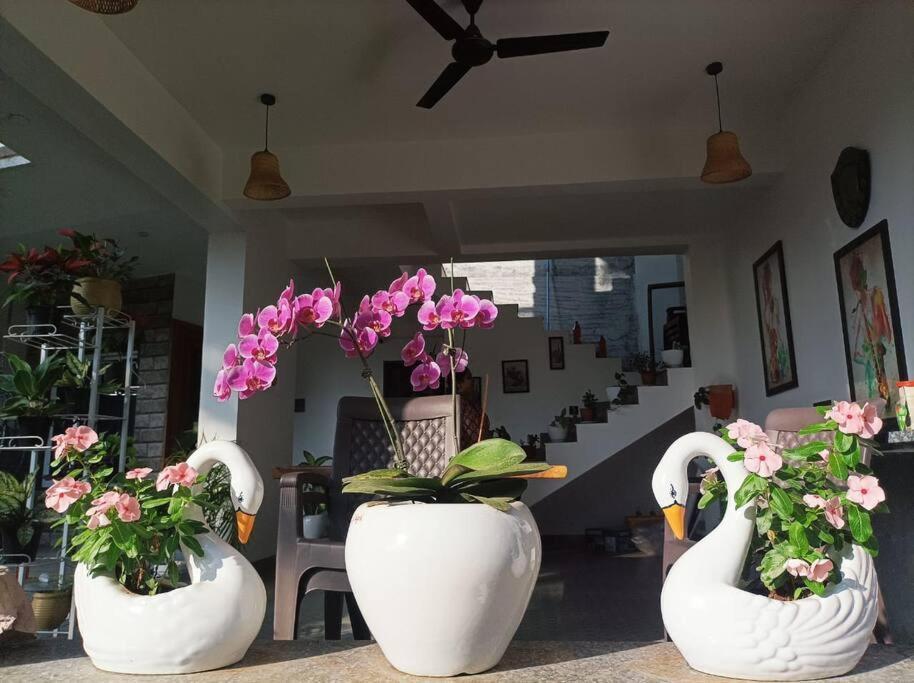 Almond Villa Find Your Paradise อลีบาก ภายนอก รูปภาพ